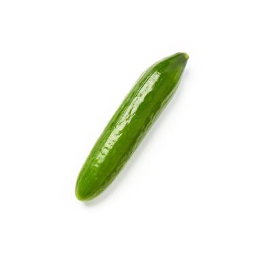 Lebanese cucumber icon