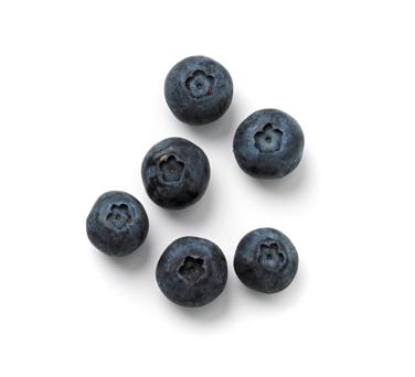blueberries icon