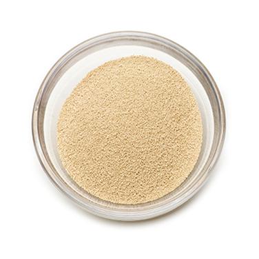 instant dried yeast icon