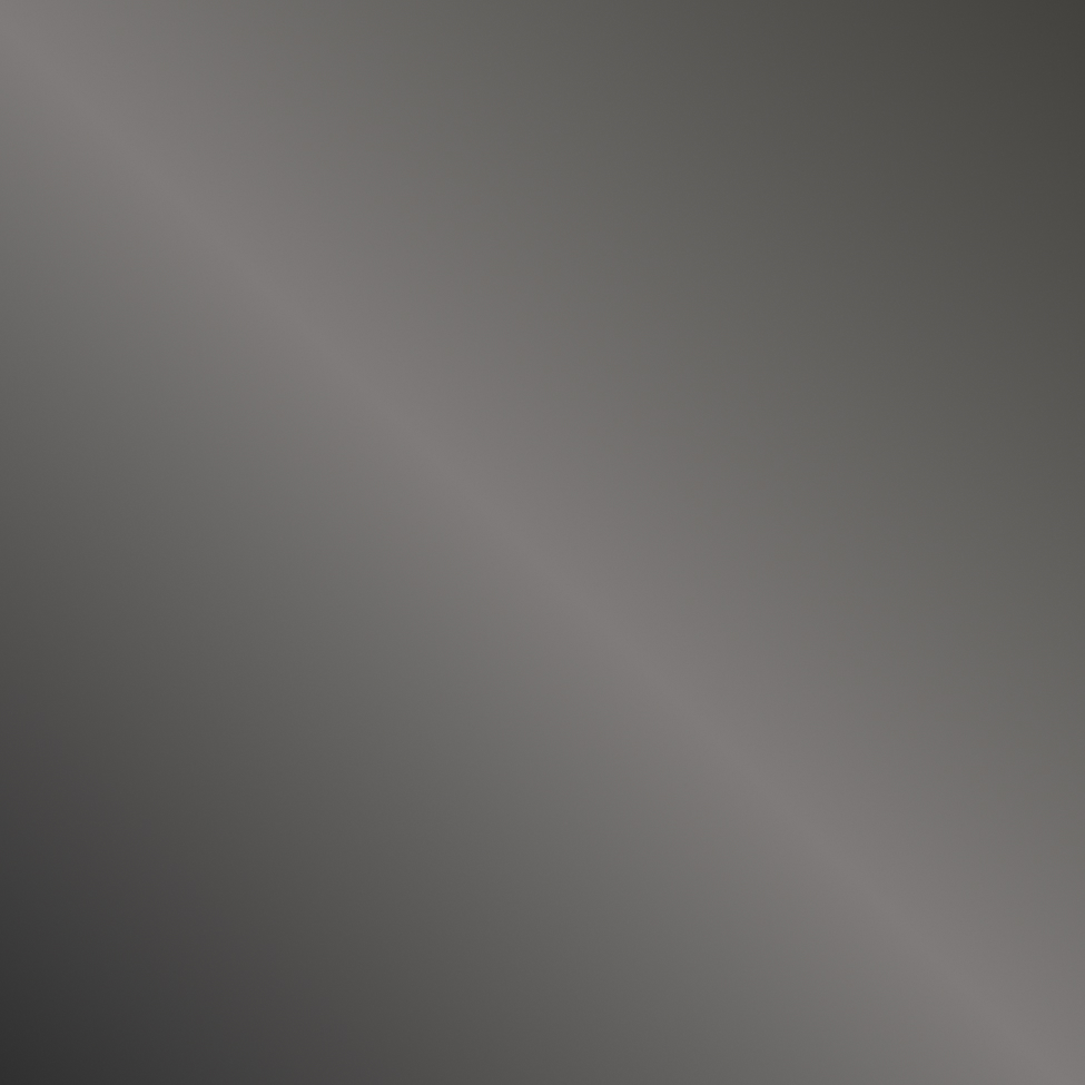 Black Stainless Steel color swatch