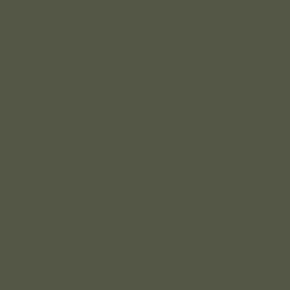 Olive Tapenade color swatch