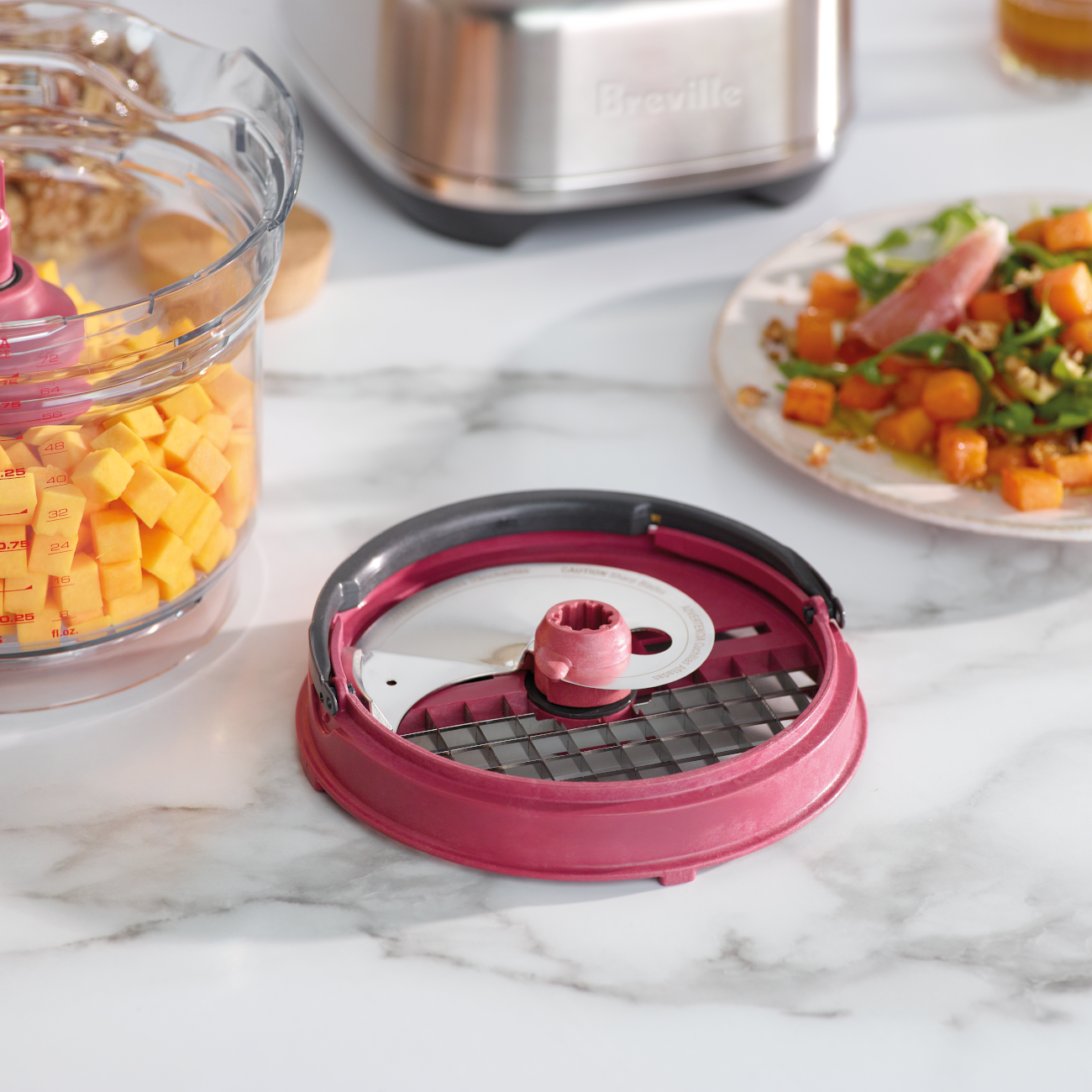 Close up of the chopping disc